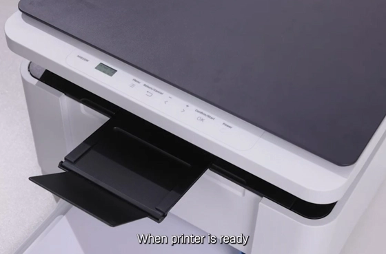 11 Impressão do relatório