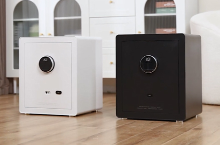 Caixa de segurança doméstica ET630-ET635 Deli